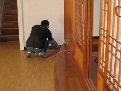 家里有該白蟻怎么辦？